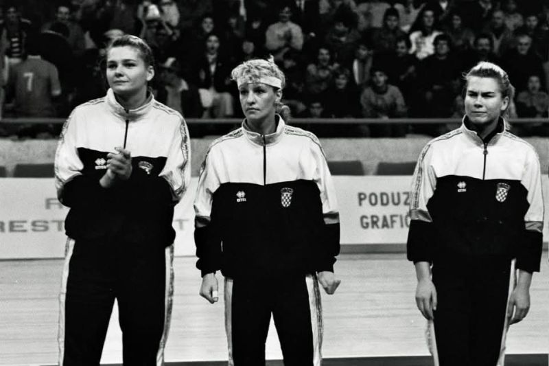 File:Ciganović-Pavličić-Jelaska.jpg