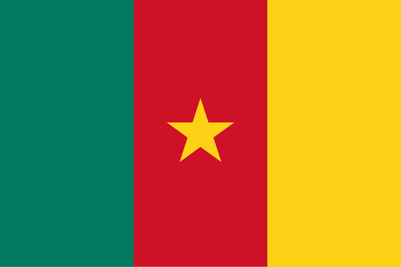 File:Flag of Cameroon.svg.png
